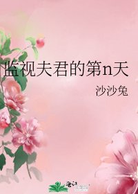 监视夫君的第n天